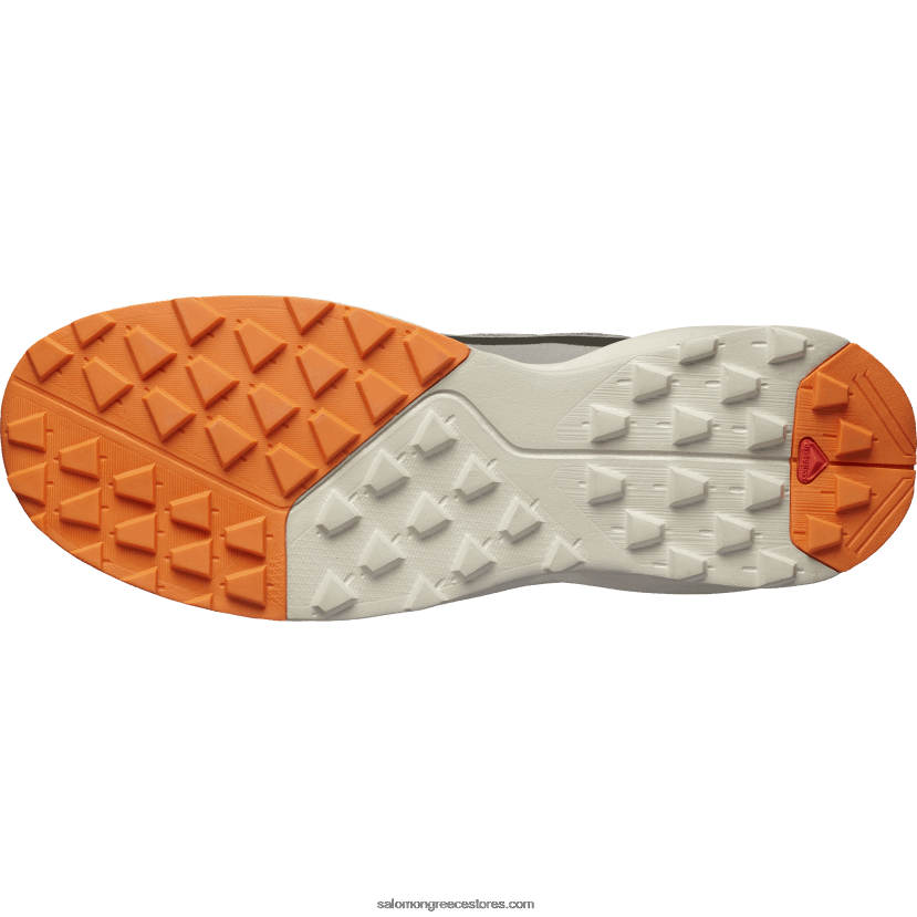 ανδρικά παπούτσια πεζοπορίας - περιπολικό Salomon κασσίτερος/φτερό γκρι/κόκκινο ibis DXFPHB48