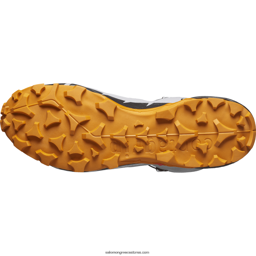 ανδρικές μπότες πεζοπορίας - cross hike 2 mid gore-tex Salomon γλάρος/μαρμελάδα/μαύρο DXFPHB37