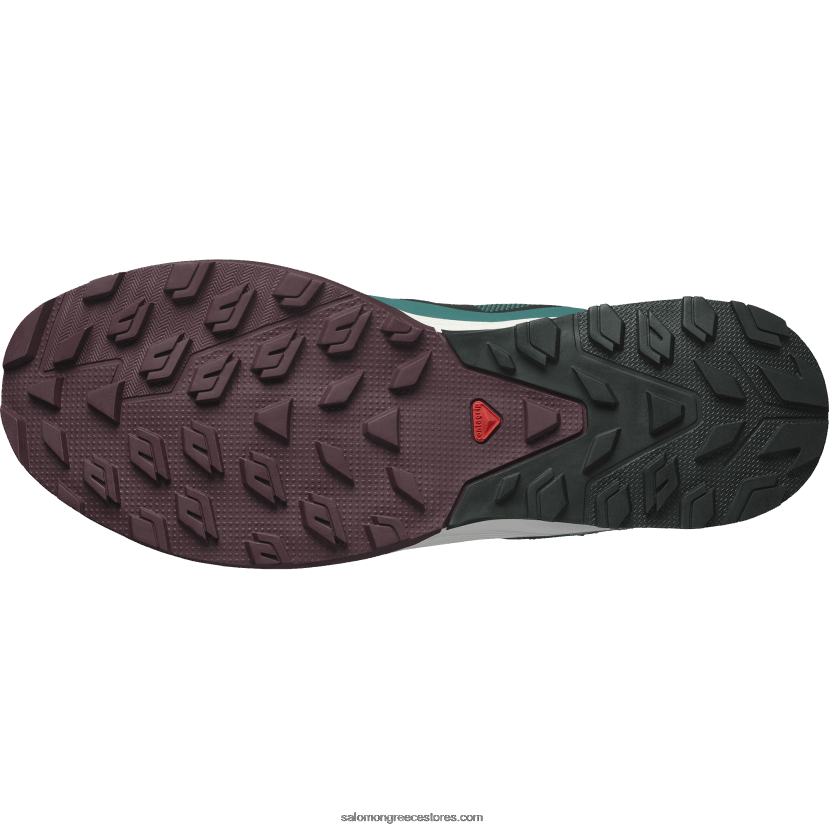 ανδρικά παπούτσια πεζοπορίας - outrise clima αδιάβροχο Salomon πεύκο ponderosa/πικρή σοκολάτα/πάγος βανίλιας DXFPHB55
