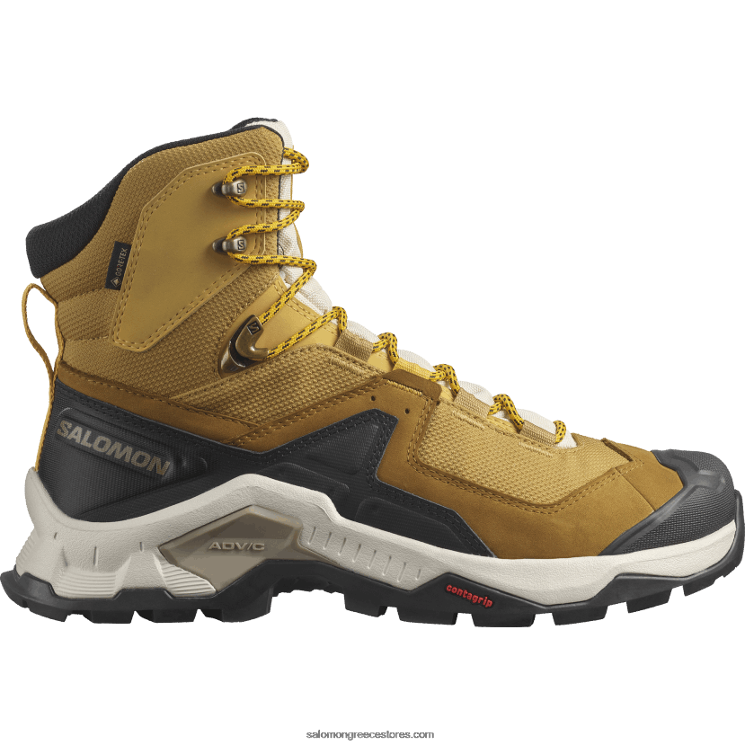 ανδρικές δερμάτινες μπότες πεζοπορίας - quest στοιχείο gore-tex Salomon κύμινο/λευκασμένη άμμος/σαφράν DXFPHB50