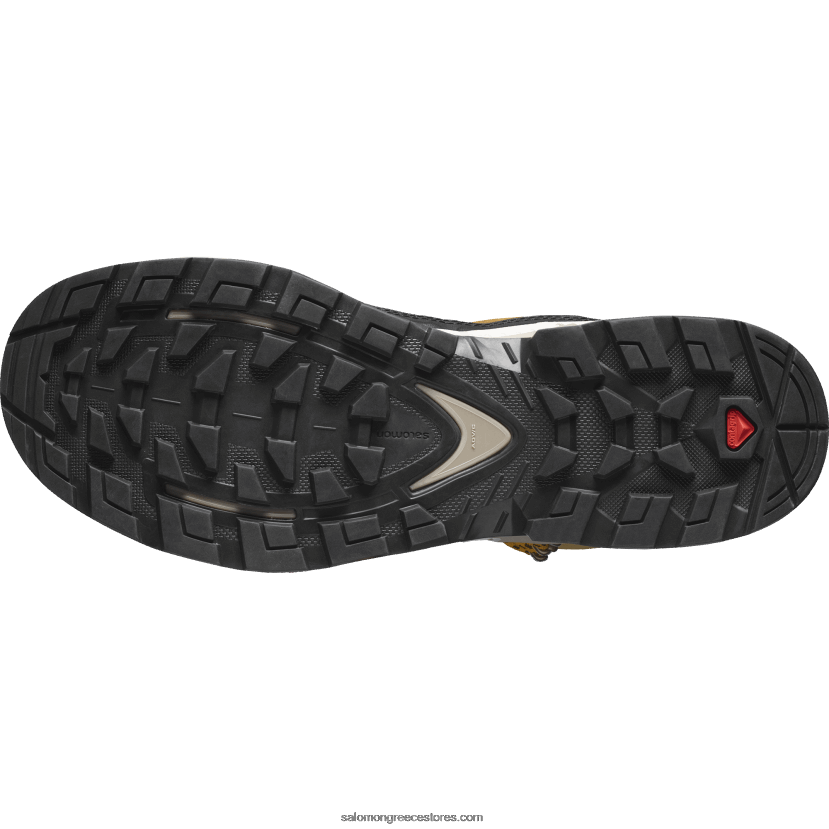 ανδρικές δερμάτινες μπότες πεζοπορίας - quest στοιχείο gore-tex Salomon κύμινο/λευκασμένη άμμος/σαφράν DXFPHB50