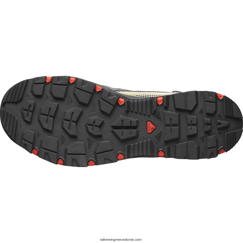 ανδρικά παπούτσια νερού - techamphibian 5 Salomon κασσίτερος / σκόρος / φλογερό κόκκινο DXFPHB3