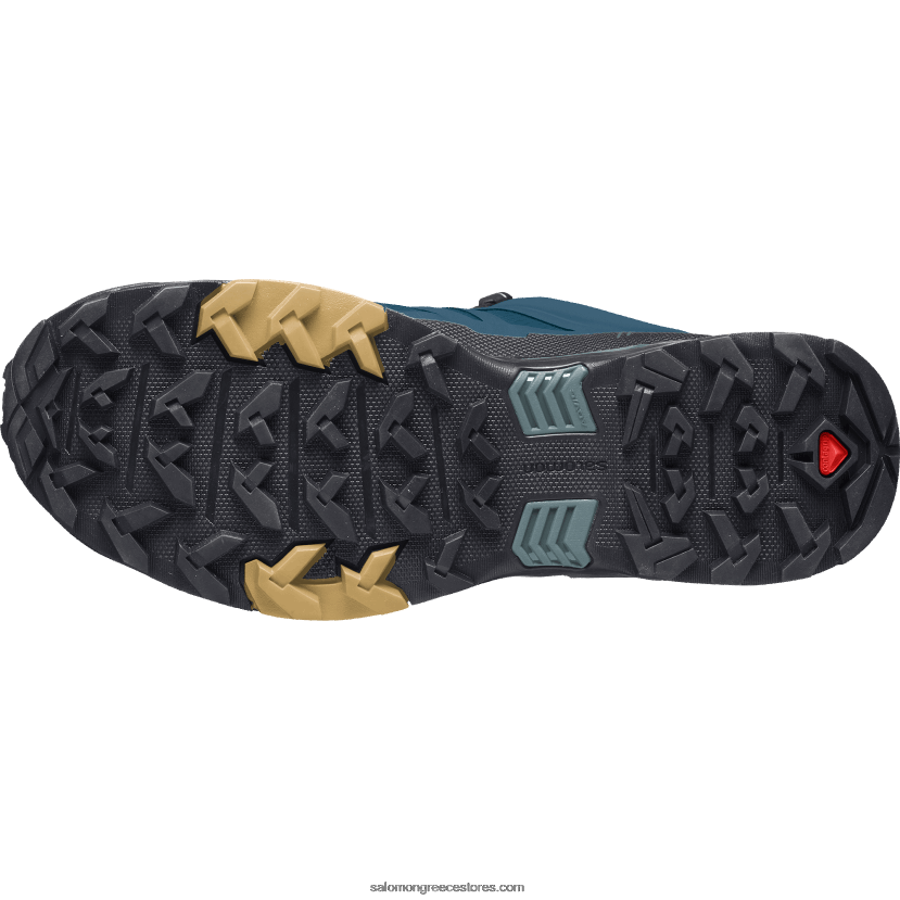 ανδρικά παπούτσια πεζοπορίας - x ultra 4 gore-tex Salomon μπλε/μαύρο/φθινοπωρινό φύλλο λεγεώνας DXFPHB17