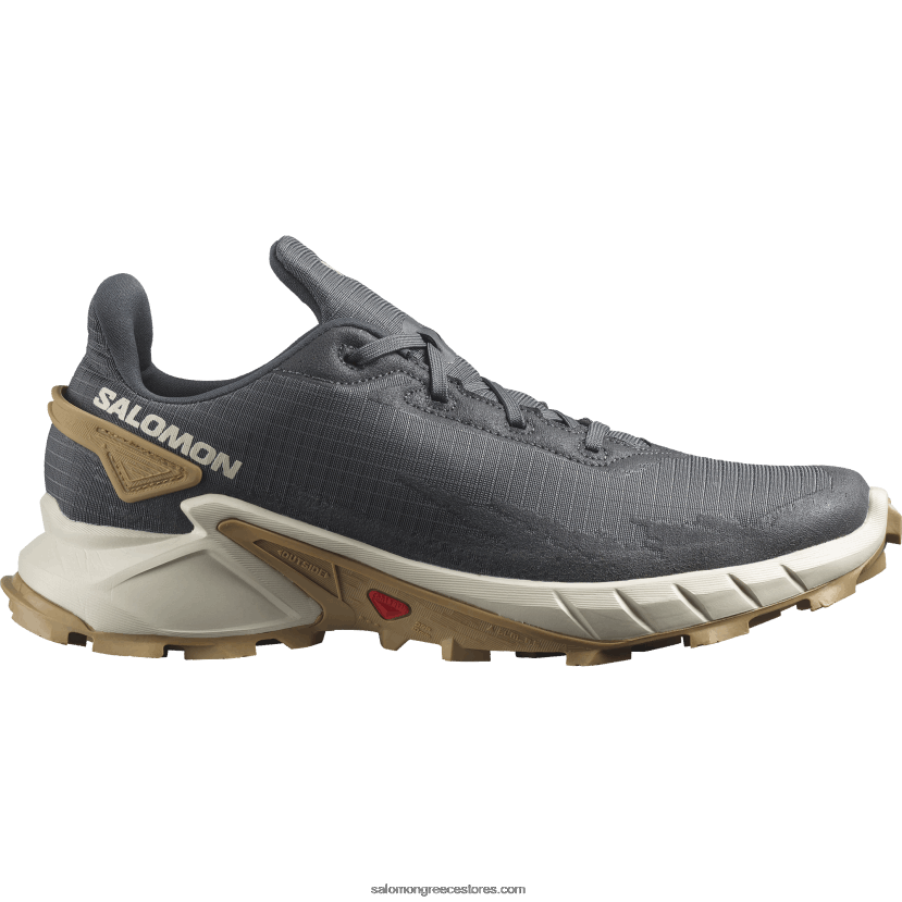 ανδρικά παπούτσια τρεξίματος - alphacross 4 Salomon έβενος / βροχερή μέρα / φάντασμα DXFPHB1483