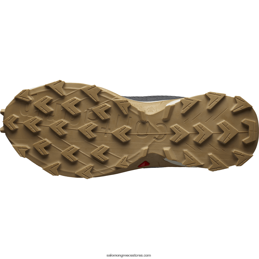 ανδρικά παπούτσια τρεξίματος - alphacross 4 Salomon έβενος / βροχερή μέρα / φάντασμα DXFPHB1483