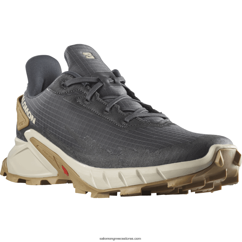 ανδρικά παπούτσια τρεξίματος - alphacross 4 Salomon έβενος / βροχερή μέρα / φάντασμα DXFPHB1483