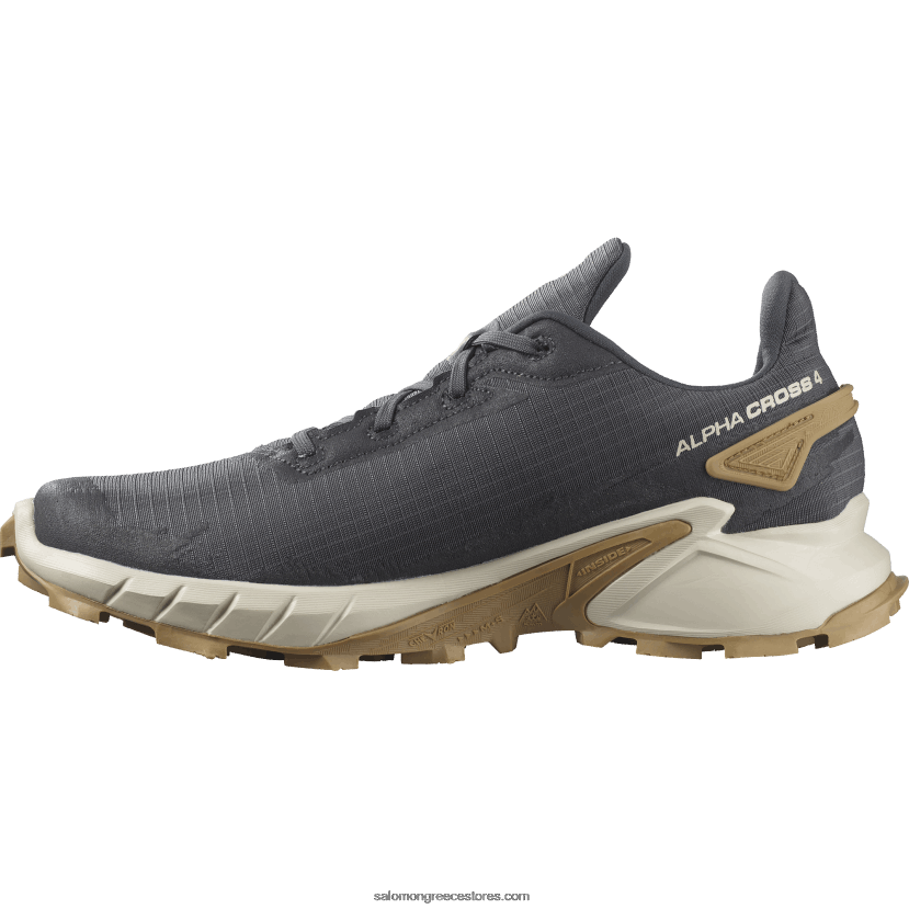 ανδρικά παπούτσια τρεξίματος - alphacross 4 Salomon έβενος / βροχερή μέρα / φάντασμα DXFPHB1483