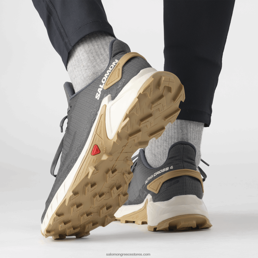 ανδρικά παπούτσια τρεξίματος - alphacross 4 Salomon έβενος / βροχερή μέρα / φάντασμα DXFPHB1483