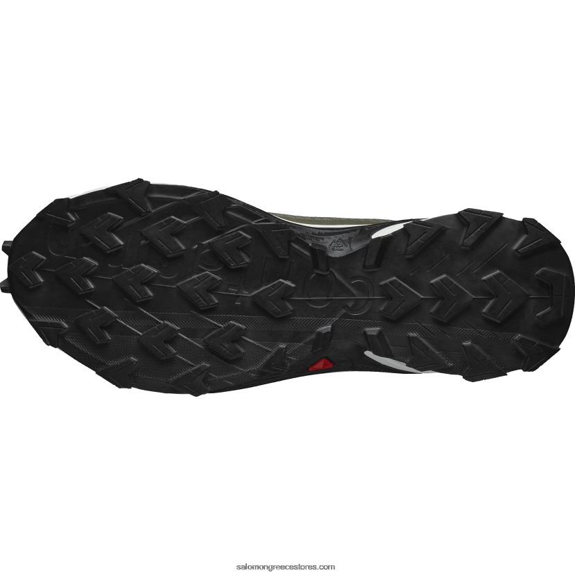 ανδρικά παπούτσια τρεξίματος - alphacross 4 gore-tex Salomon βαθύ πράσινο λειχήνα/πάγος βανίλιας/βραδιά ελιάς DXFPHB1476