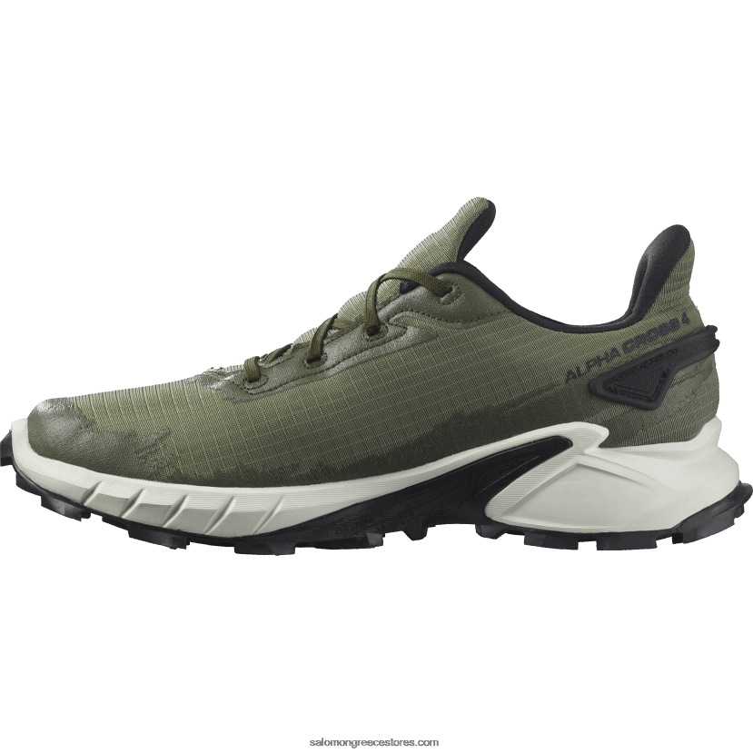 ανδρικά παπούτσια τρεξίματος - alphacross 4 gore-tex Salomon βαθύ πράσινο λειχήνα/πάγος βανίλιας/βραδιά ελιάς DXFPHB1476
