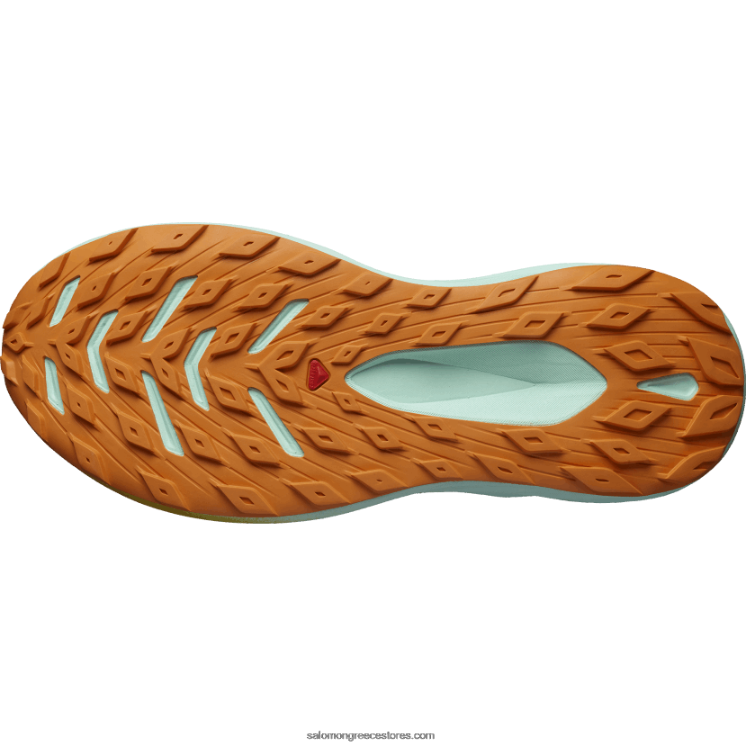 ανδρικά παπούτσια τρεξίματος - glide max tr Salomon λευκασμένη άμμο/γιούκα/πορτοκαλί πιπεριά DXFPHB1446