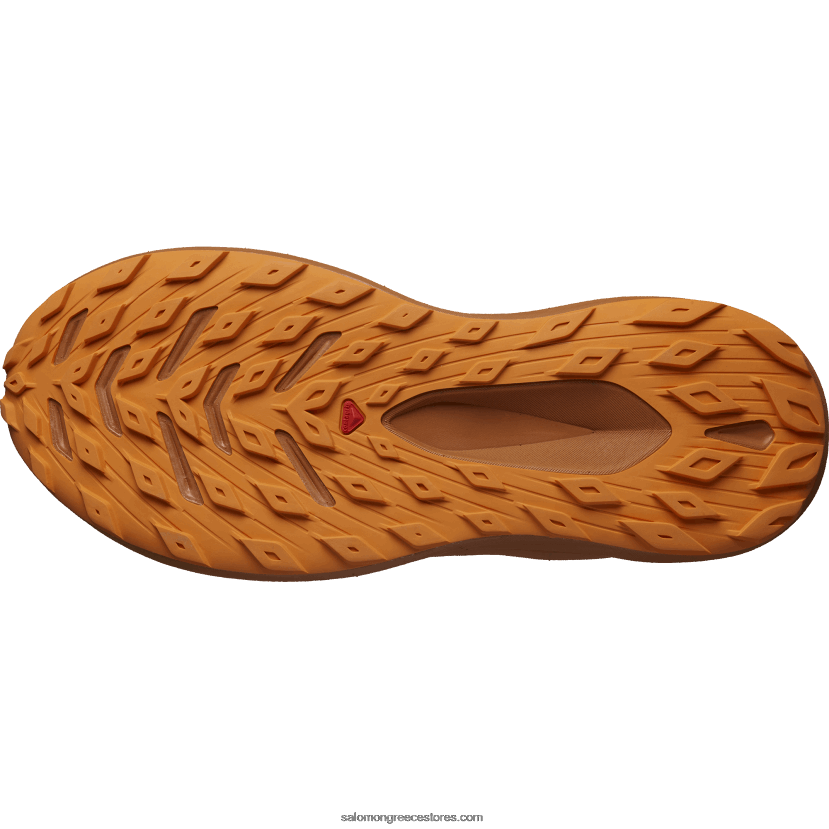 ανδρικά παπούτσια τρεξίματος - glide max tr Salomon σκούρο ζαφείρι/ζαχαραμύγδαλο/πορτοκαλί πιπεριά DXFPHB1447