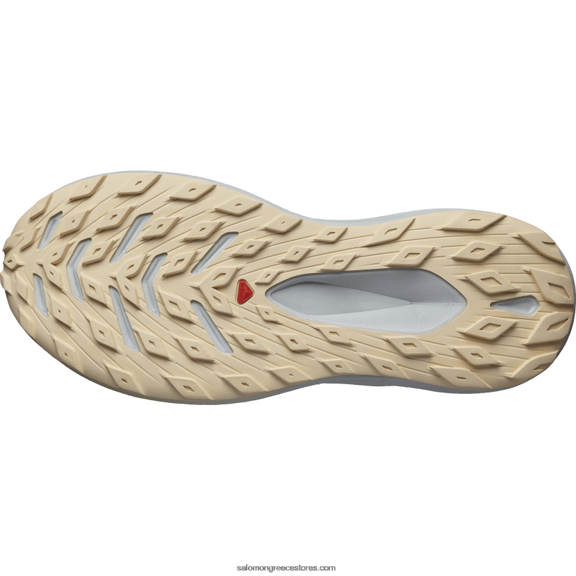 ανδρικά παπούτσια τρεξίματος - glide max tr Salomon ήσυχη σκιά/μαργαριτάρι μπλε/λευκασμένη άμμος DXFPHB1449