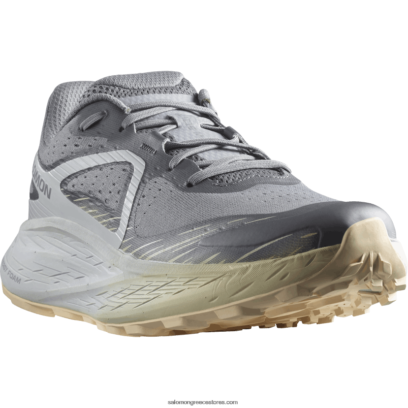 ανδρικά παπούτσια τρεξίματος - glide max tr Salomon ήσυχη σκιά/μαργαριτάρι μπλε/λευκασμένη άμμος DXFPHB1449