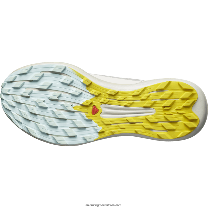 ανδρικά παπούτσια τρεξίματος - pulsar trail pro 2 Salomon βροχερή μέρα/καυτερή σάλτσα/φρέζια DXFPHB1437