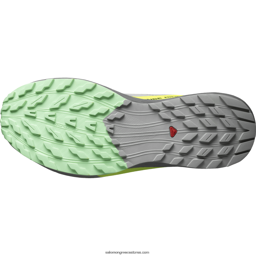 ανδρικά παπούτσια τρεξίματος - sense ride 5 Salomon κράμα/ήσυχη απόχρωση/κίτρινο ασφαλείας DXFPHB1431