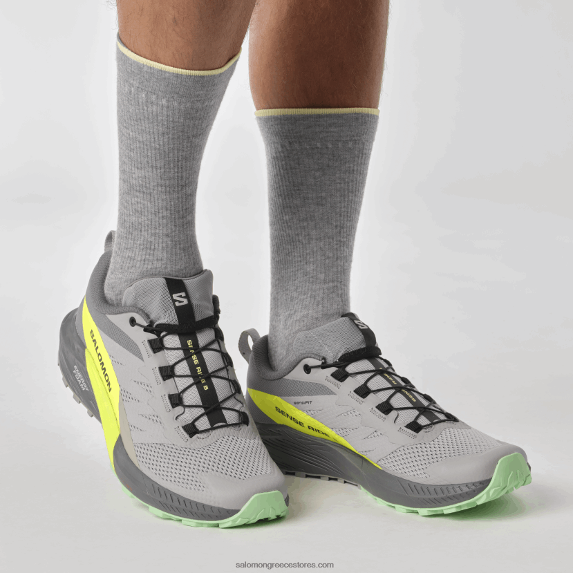 ανδρικά παπούτσια τρεξίματος - sense ride 5 Salomon κράμα/ήσυχη απόχρωση/κίτρινο ασφαλείας DXFPHB1431