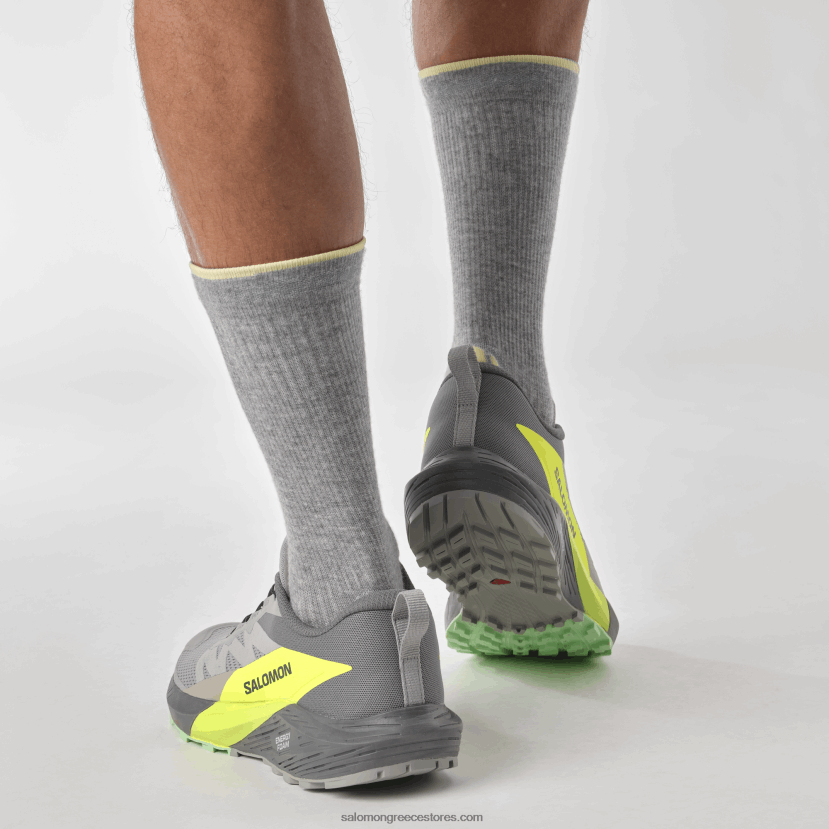 ανδρικά παπούτσια τρεξίματος - sense ride 5 Salomon κράμα/ήσυχη απόχρωση/κίτρινο ασφαλείας DXFPHB1431