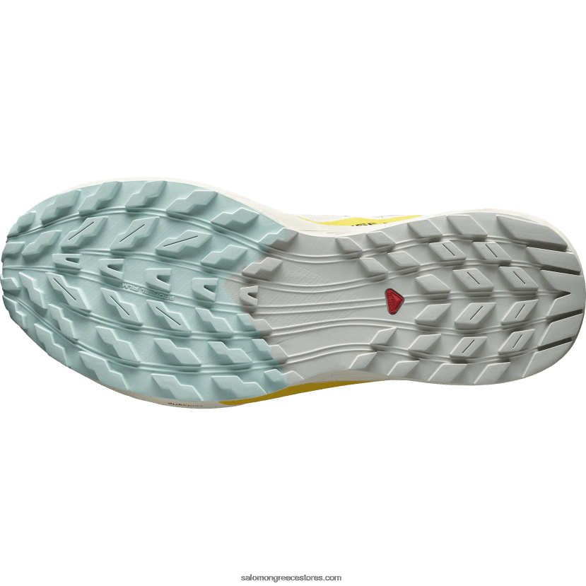 ανδρικά παπούτσια τρεξίματος - sense ride 5 Salomon βροχερή μέρα/καυτερή σάλτσα/φρέζια DXFPHB1435