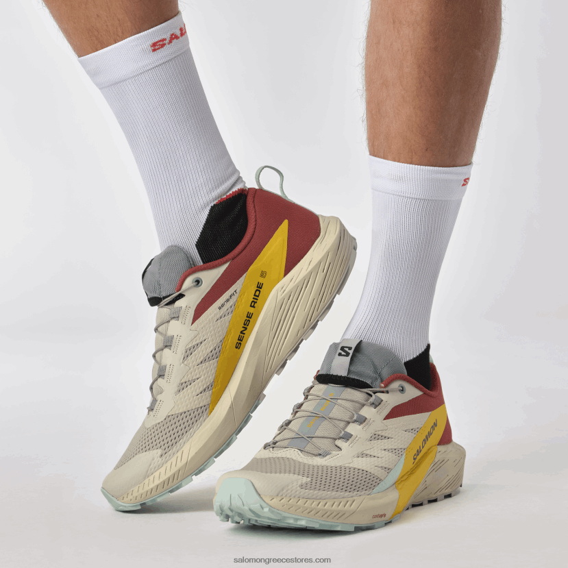 ανδρικά παπούτσια τρεξίματος - sense ride 5 Salomon βροχερή μέρα/καυτερή σάλτσα/φρέζια DXFPHB1435