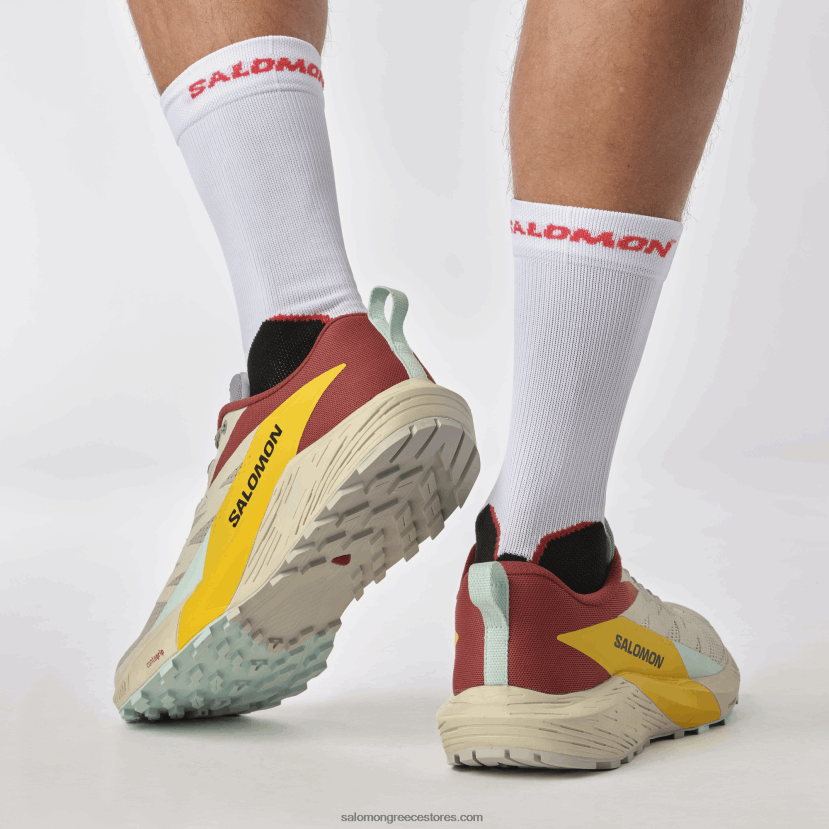 ανδρικά παπούτσια τρεξίματος - sense ride 5 Salomon βροχερή μέρα/καυτερή σάλτσα/φρέζια DXFPHB1435