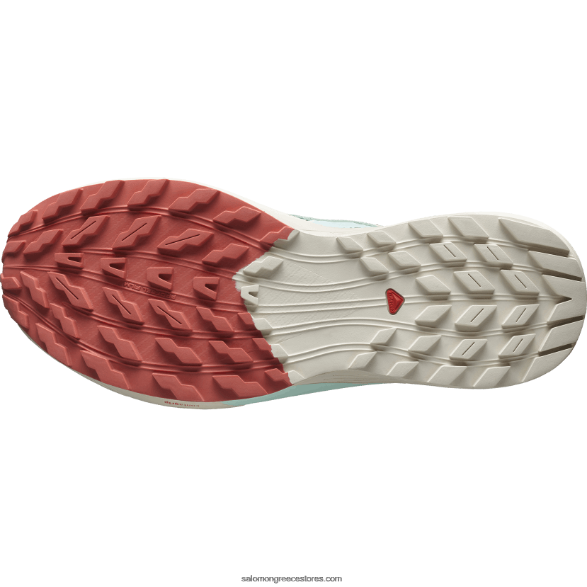 ανδρικά παπούτσια τρεξίματος - sense ride 5 Salomon κρίνο pad/βροχερή μέρα/λευκασμένο aqua DXFPHB1433