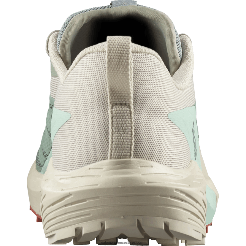 ανδρικά παπούτσια τρεξίματος - sense ride 5 Salomon κρίνο pad/βροχερή μέρα/λευκασμένο aqua DXFPHB1433