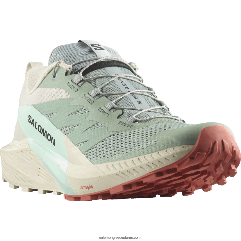 ανδρικά παπούτσια τρεξίματος - sense ride 5 Salomon κρίνο pad/βροχερή μέρα/λευκασμένο aqua DXFPHB1433