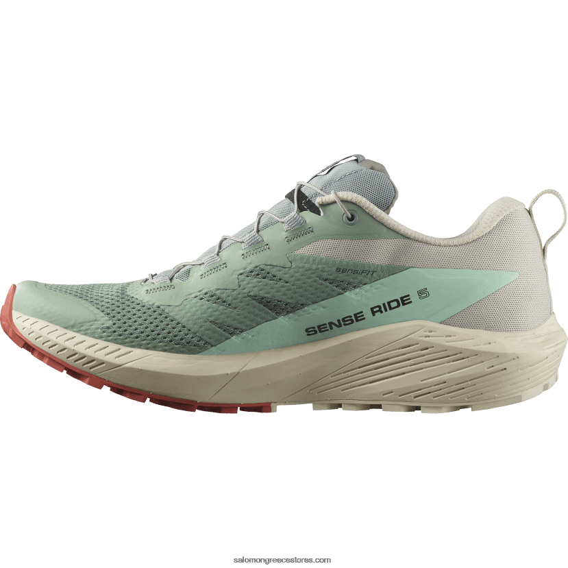 ανδρικά παπούτσια τρεξίματος - sense ride 5 Salomon κρίνο pad/βροχερή μέρα/λευκασμένο aqua DXFPHB1433