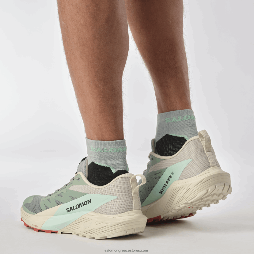 ανδρικά παπούτσια τρεξίματος - sense ride 5 Salomon κρίνο pad/βροχερή μέρα/λευκασμένο aqua DXFPHB1433