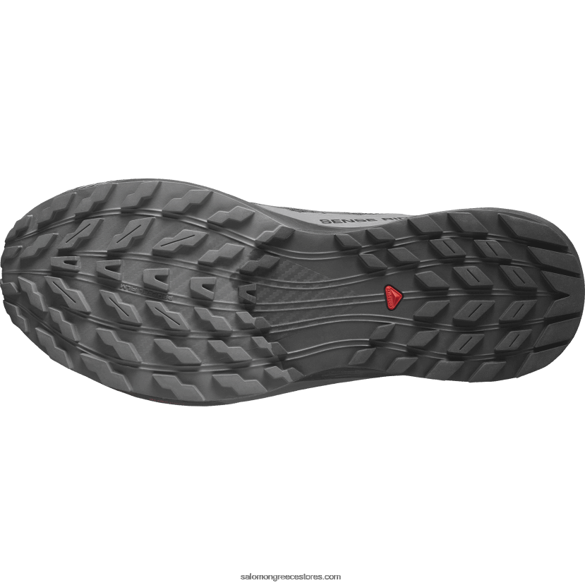 ανδρικά παπούτσια τρεξίματος - sense ride 5 gore-tex Salomon μαύρο/μαγνήτης DXFPHB1444