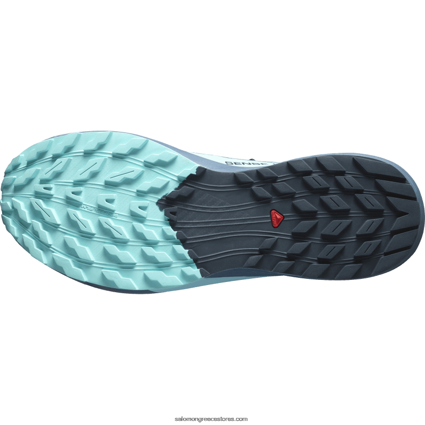 ανδρικά παπούτσια τρεξίματος - sense ride 5 gore-tex Salomon άνθρακα/μπλε ακτινοβολία/μπλε της Κίνας DXFPHB1445