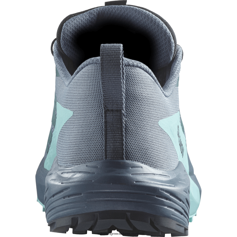 ανδρικά παπούτσια τρεξίματος - sense ride 5 gore-tex Salomon άνθρακα/μπλε ακτινοβολία/μπλε της Κίνας DXFPHB1445