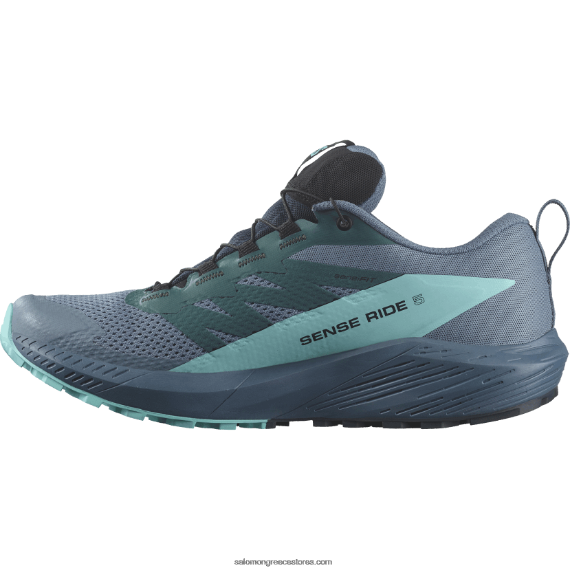 ανδρικά παπούτσια τρεξίματος - sense ride 5 gore-tex Salomon άνθρακα/μπλε ακτινοβολία/μπλε της Κίνας DXFPHB1445