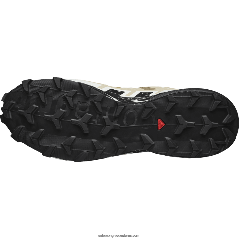 ανδρικά παπούτσια τρεξίματος - speedcross 6 gore-tex Salomon φύκια/μαύρο/πάγος βανίλιας DXFPHB1466