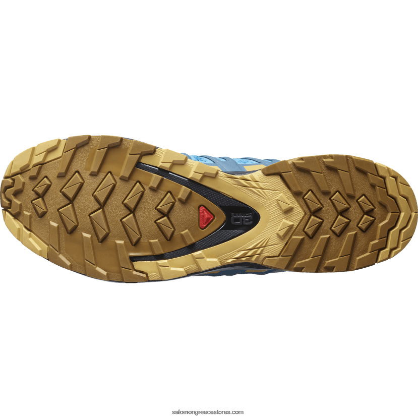 ανδρικά παπούτσια τρεξίματος - xa pro 3d v8 Salomon εμπόδιος ύφαλος/φύλλο πτώσης/χάλκινο καφέ DXFPHB1480