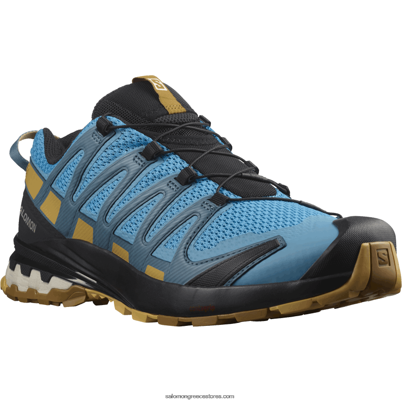 ανδρικά παπούτσια τρεξίματος - xa pro 3d v8 Salomon εμπόδιος ύφαλος/φύλλο πτώσης/χάλκινο καφέ DXFPHB1480