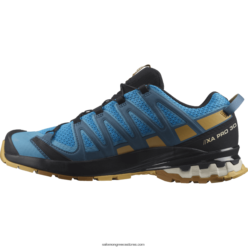 ανδρικά παπούτσια τρεξίματος - xa pro 3d v8 Salomon εμπόδιος ύφαλος/φύλλο πτώσης/χάλκινο καφέ DXFPHB1480