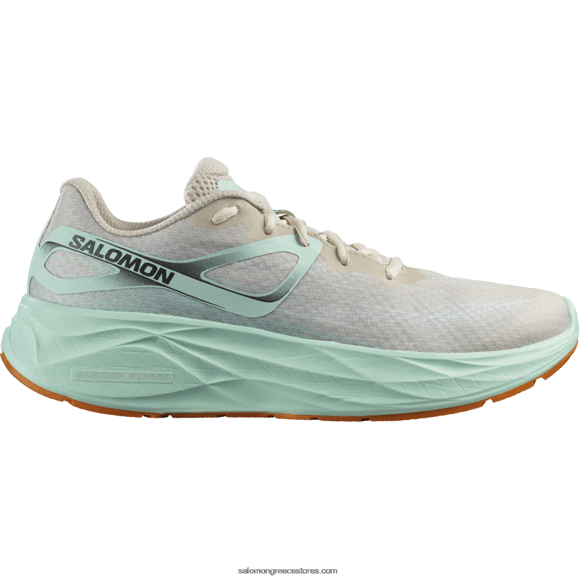 ανδρικά παπούτσια τρεξίματος - aero glide Salomon λευκασμένη άμμο/γιούκα/πορτοκαλί πιπεριά DXFPHB1066