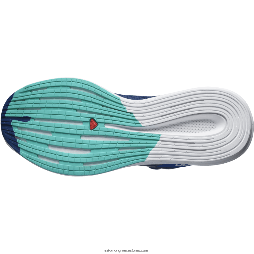 ανδρικά παπούτσια για τρέξιμο - spectur Salomon κτήμα μπλε/εκθαμβωτικό μπλε/φύλλο μέντας DXFPHB1076