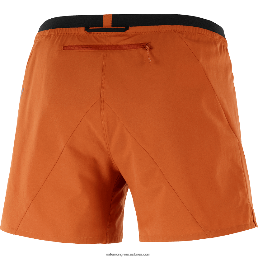 ανδρικό σορτς - σταυρός 5 Salomon καμένη ώχρα DXFPHB271