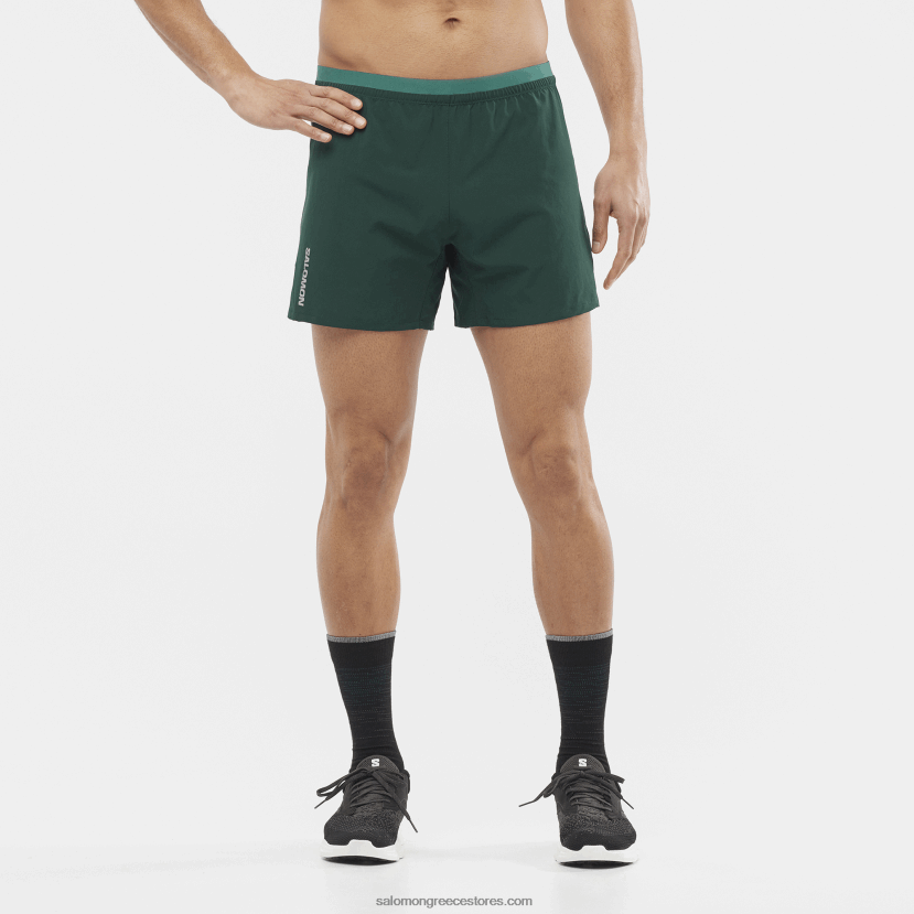ανδρικό σορτς - σταυρός 5 Salomon πεύκο ponderosa DXFPHB274