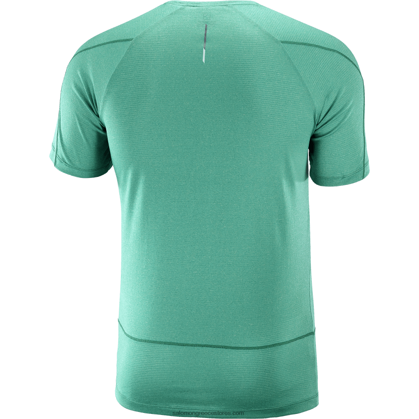 ανδρικό κοντομάνικο μπλουζάκι - σταυρωτό τρέξιμο Salomon ειρηνικός/ερείκι DXFPHB241