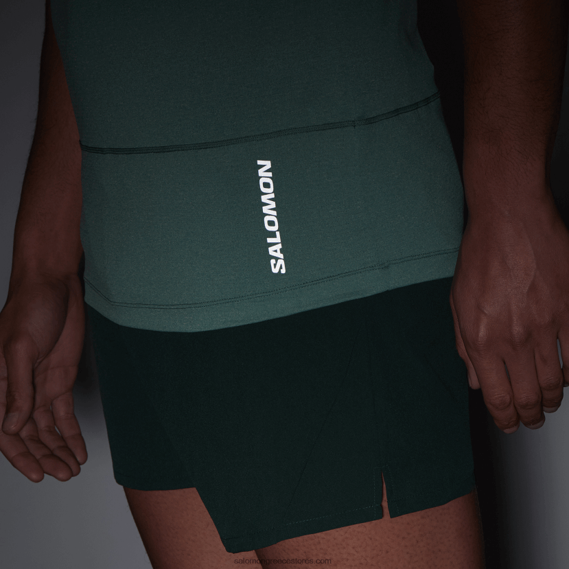 ανδρικό κοντομάνικο μπλουζάκι - σταυρωτό τρέξιμο Salomon ειρηνικός/ερείκι DXFPHB241