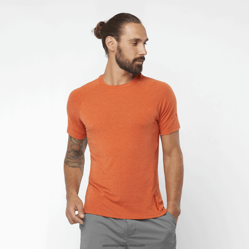 ανδρικό κοντομάνικο μπλουζάκι - runlife Salomon καμένη ώχρα/ρεκί DXFPHB1199